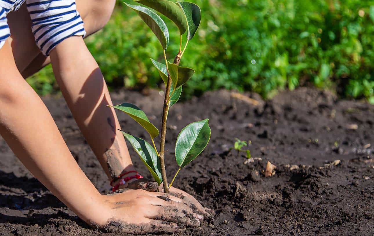 Alumnos de telesecundaria encabezan proyecto ecológico