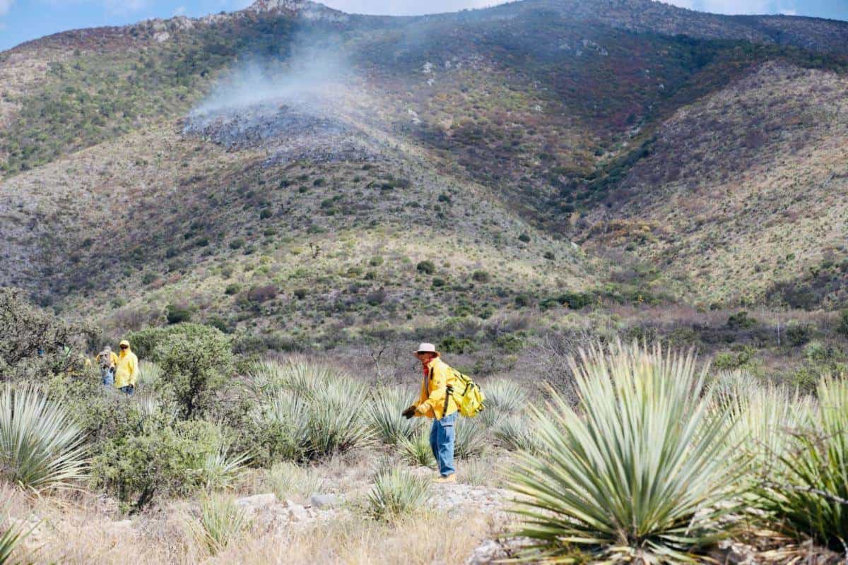 Retrasa proveedor equipo para detección de incendios