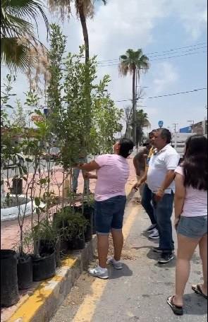 Autoridades donan árboles