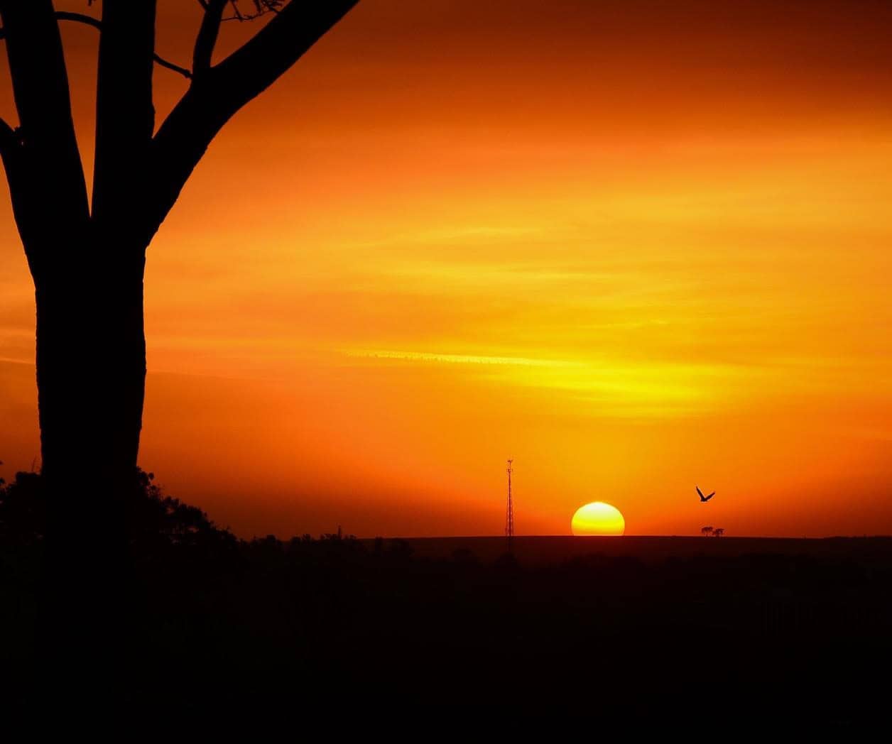 Ola de calor a cobrado la vida de 4 migrantes en El Paso