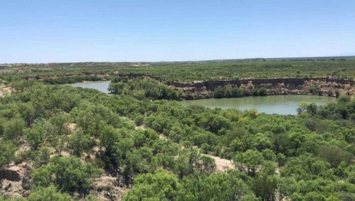 Benefician Lluvias a Productores del Campo