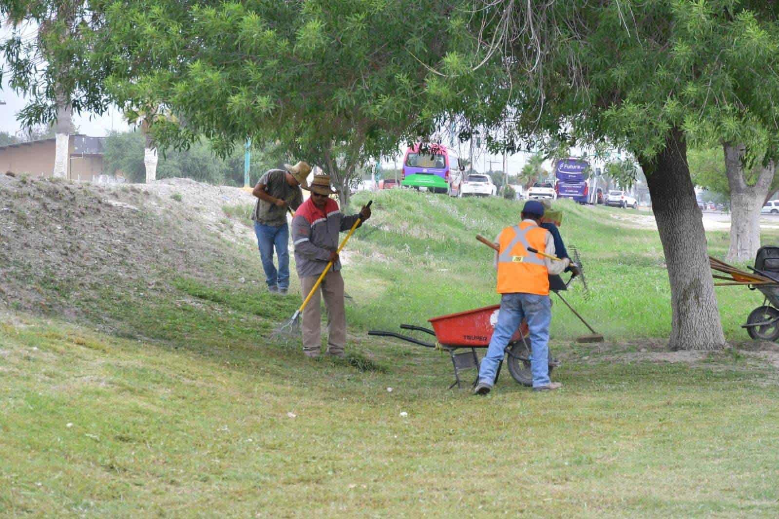 Ecología e Imagen Urbana SIGUEN TRABAJANDO para mantener la belleza de Nava