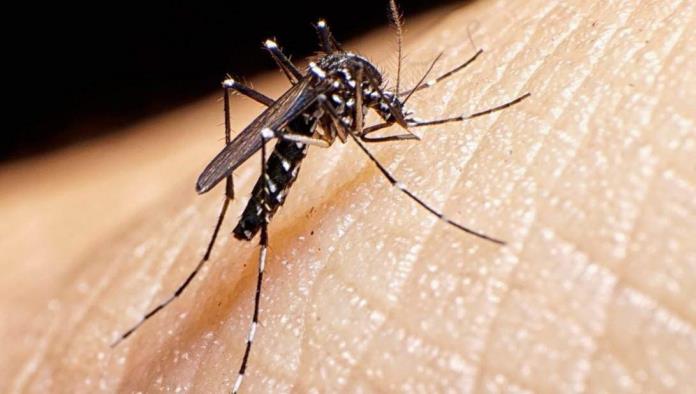 Sin casos sospechosos de dengue 