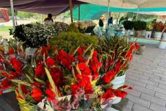 Floristas de Hidalgo llegan a Múzquiz 