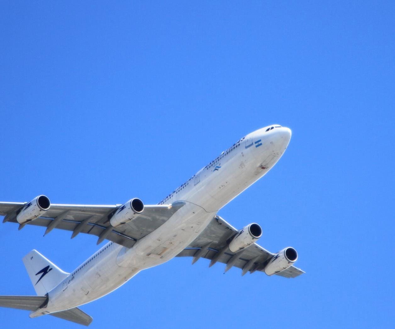 Investigan a pareja por andar de cariñosos en pleno vuelo