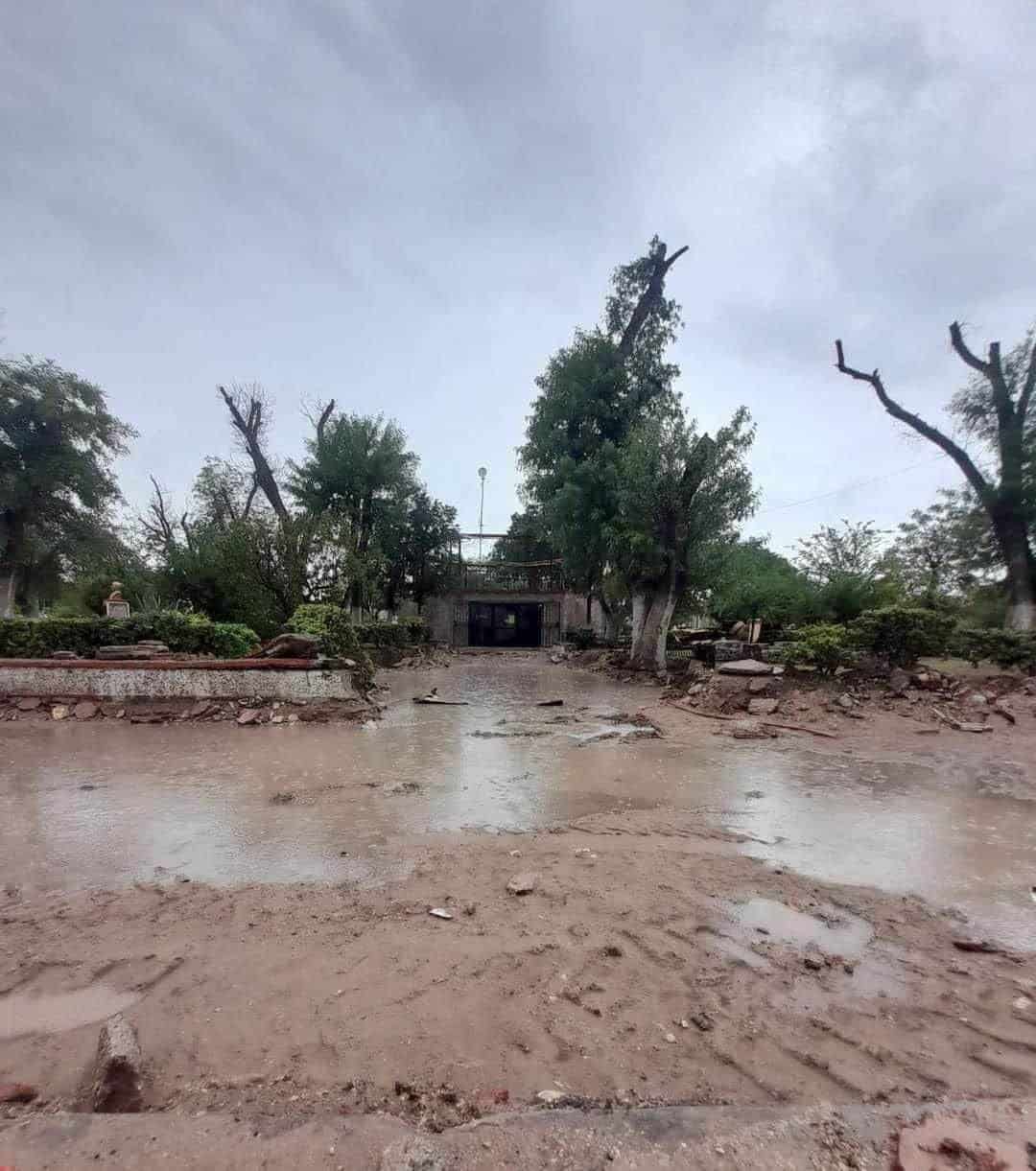 Transformación en marcha: Remodelación de Plaza Benjamín Acábales