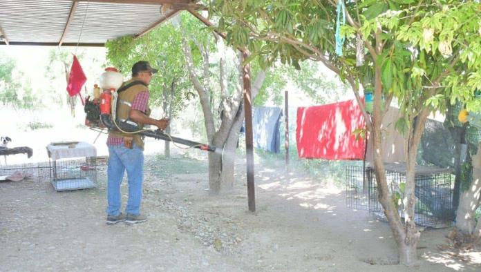 Inician Plan de Fumigación en Zaragoza por Casos Probables de Dengue
