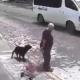 TERRIBLE: Mujer de la tercera edad es ATACADA por perros; piden sacrificarlos