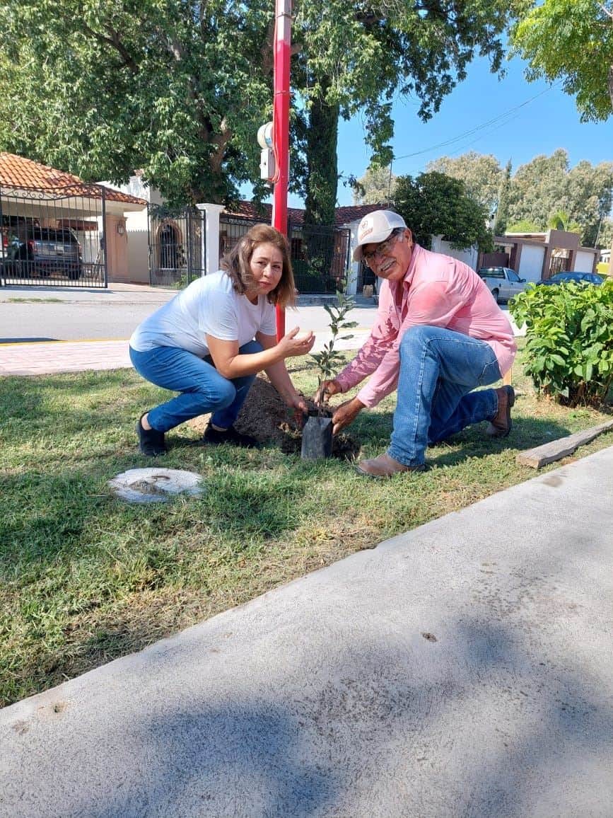 Reforesta Ciénegas sus plazas públicas