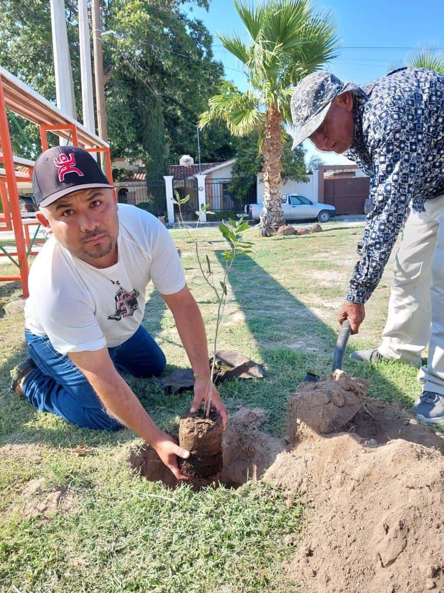 Reforesta Ciénegas sus plazas públicas