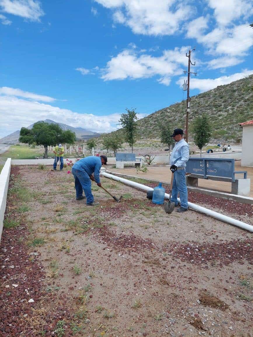 Reforesta Ciénegas sus plazas públicas