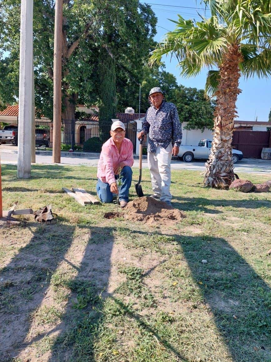 Reforesta Ciénegas sus plazas públicas