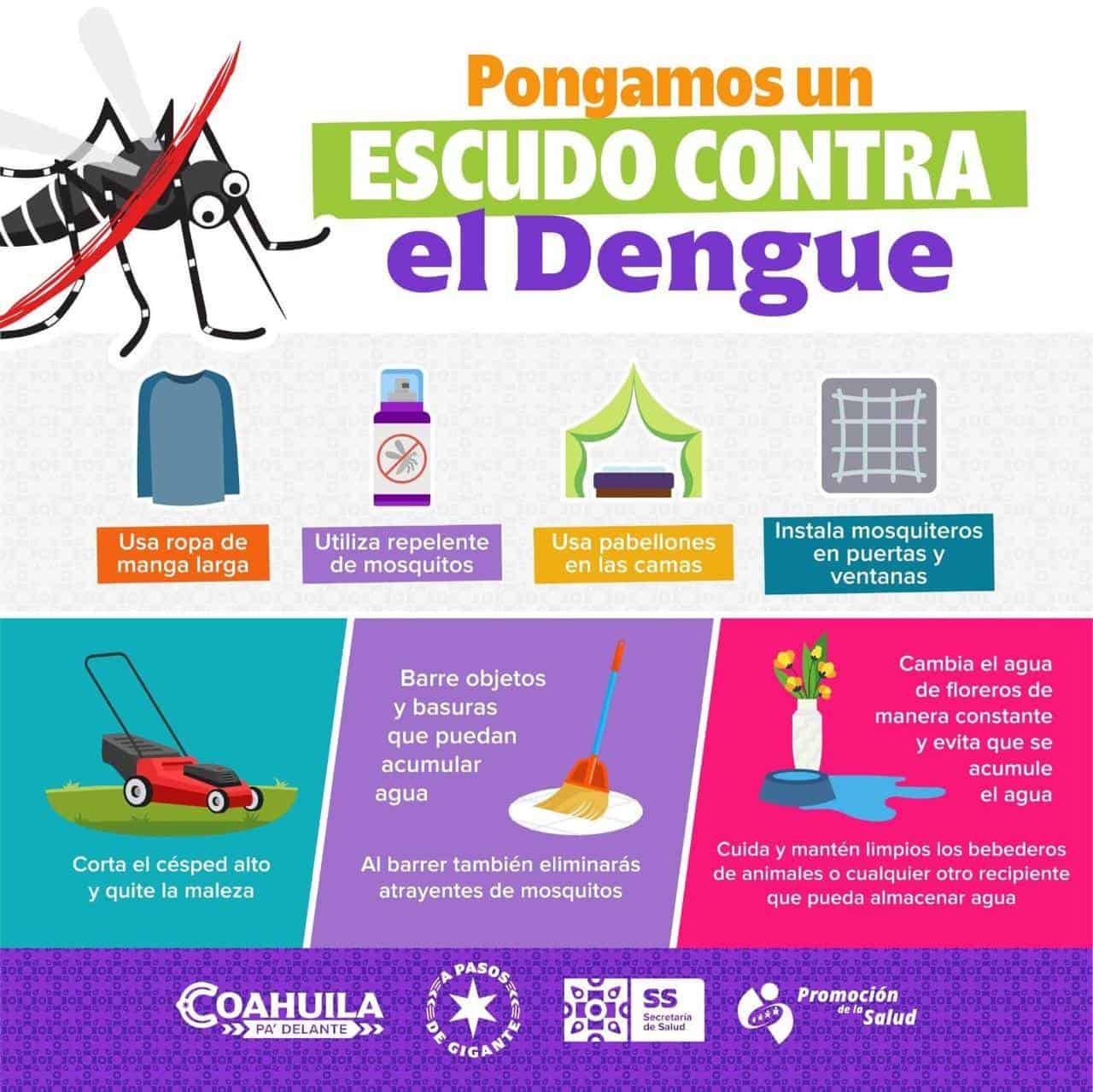 Exhortan a la población protegerse del mosquito trasmisor del dengue.