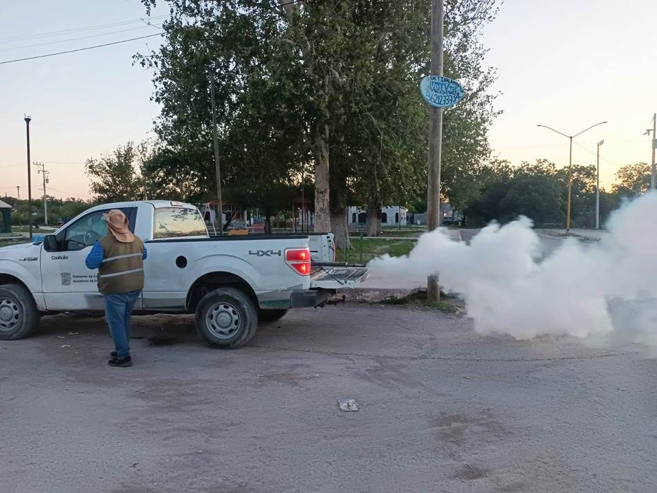 Coordinan acciones ante casos sospechosos de dengue en Zaragoza