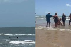 Ataque de tiburón en la Isla del Padre dejó 4 personas heridas