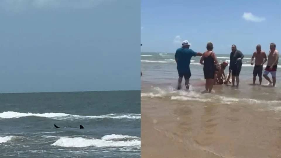 Ataque de tiburón en la Isla del Padre dejó 4 personas heridas