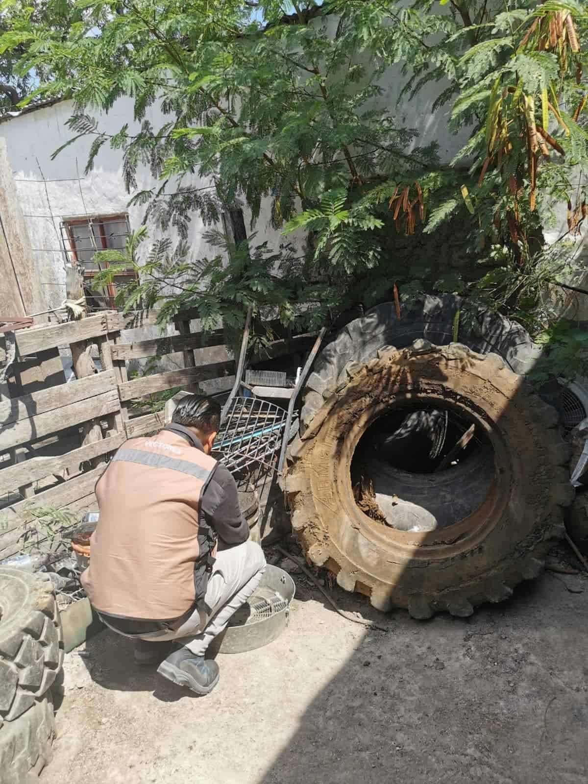 Refuerzan eliminación de larvas de mosquito en Zaragoza