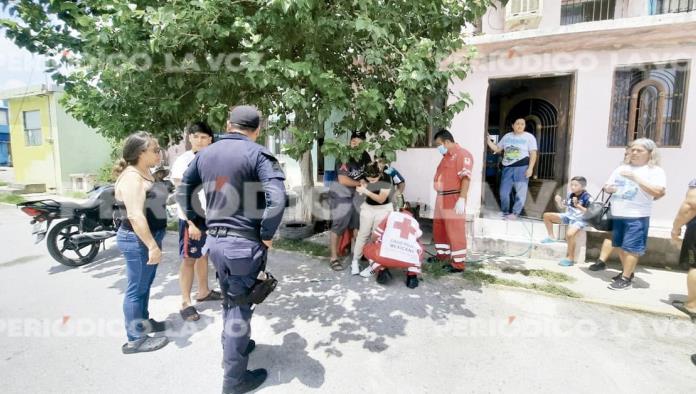 Envía perro a tres mujeres al hospital