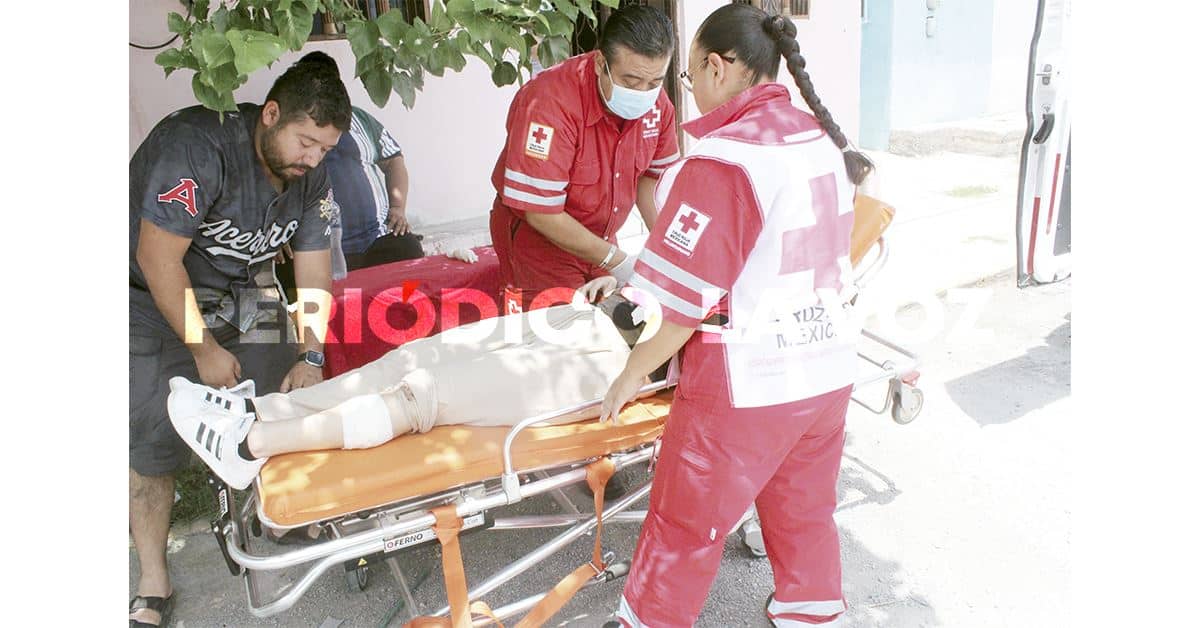 Envía perro a tres mujeres al hospital