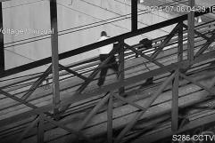 Rescatan a suicida de puente 
