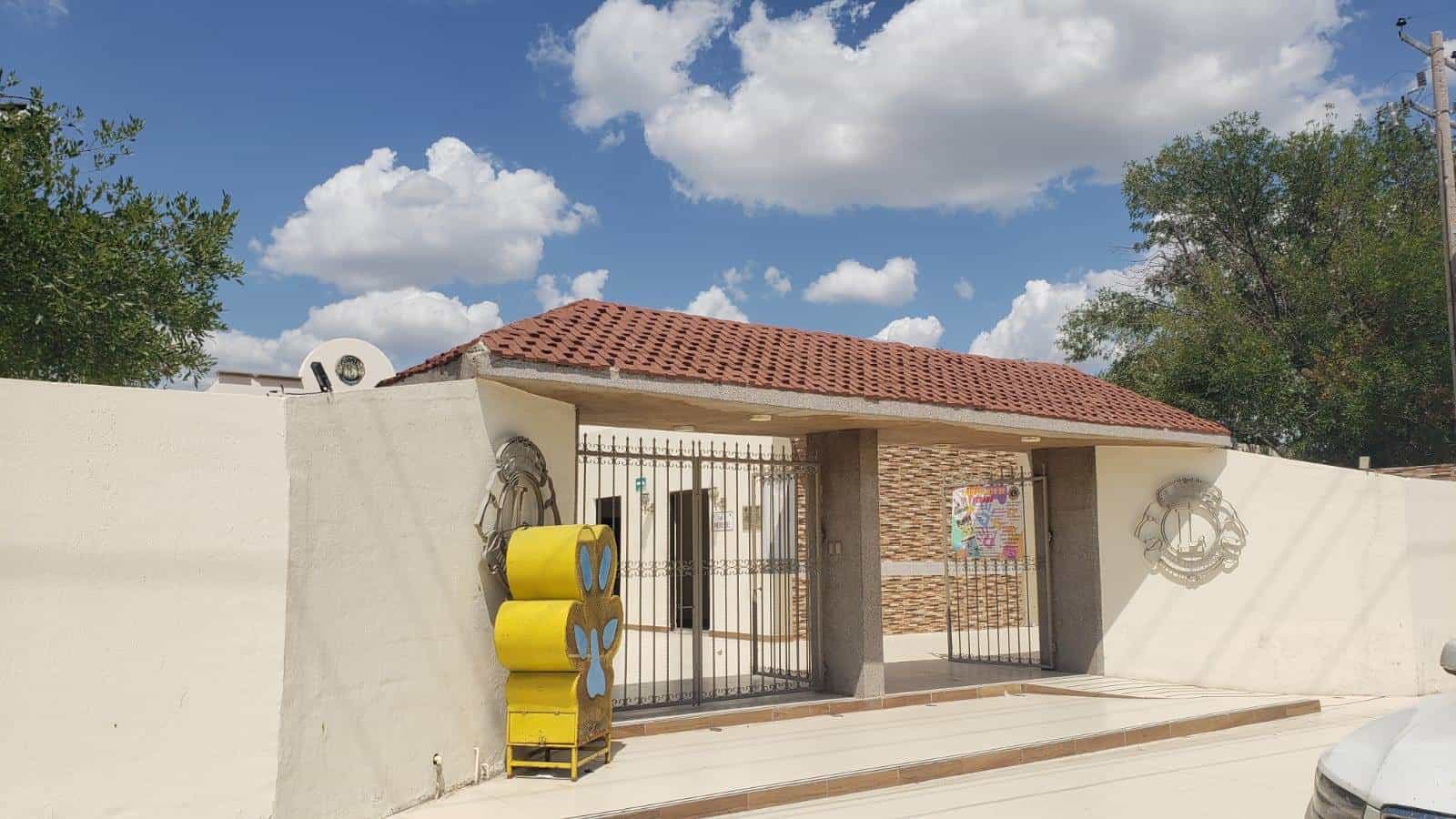 Presentan Leones Actividades Anuales