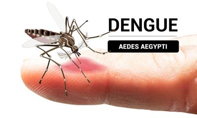 Aumentan casos de dengue en la región norte