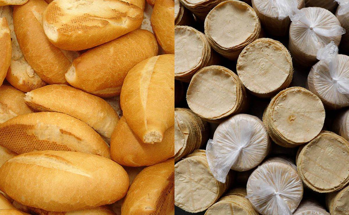 ¿Bolillo o Tortilla?: La UNAM revela cuál tiene más calorías
