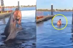 Hombre devuelve al mar a tiburón varado y lo monta en Australia