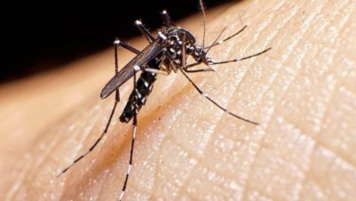 Sospechan de 3 casos de dengue
