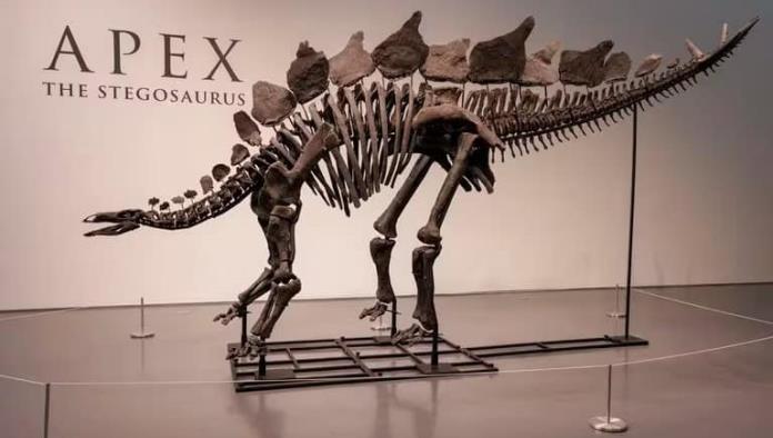Multimillonario compra el fósil de dinosaurio más caro en subasta