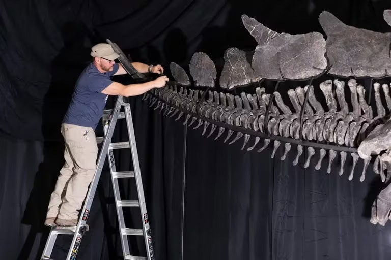 Multimillonario compra el fósil de dinosaurio más caro en subasta
