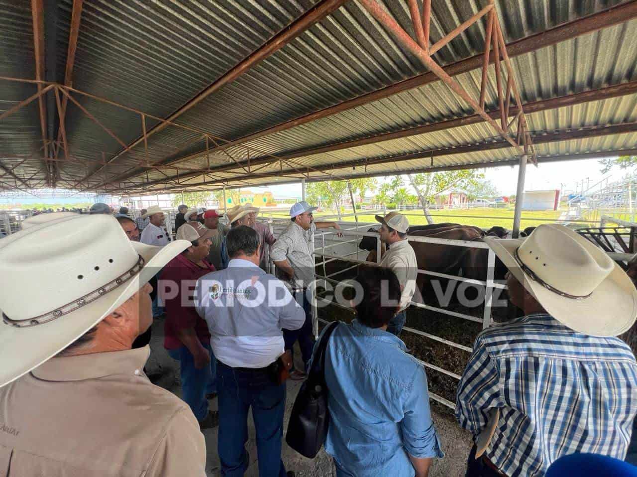 Aplica Federación 1.4 MDP en el programa de mejoramiento genético