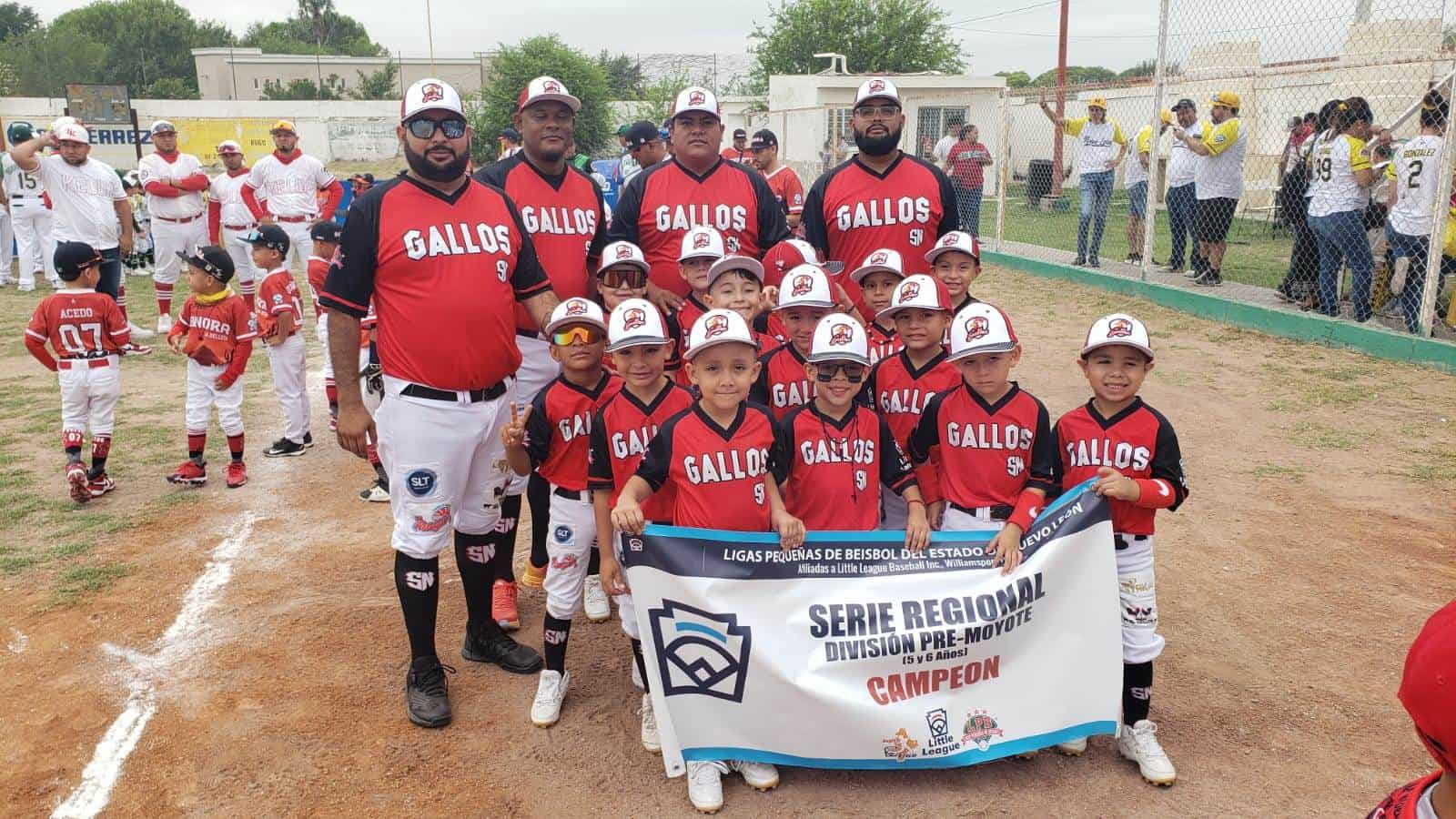 Fortalece la Cultura del Béisbol Infantil