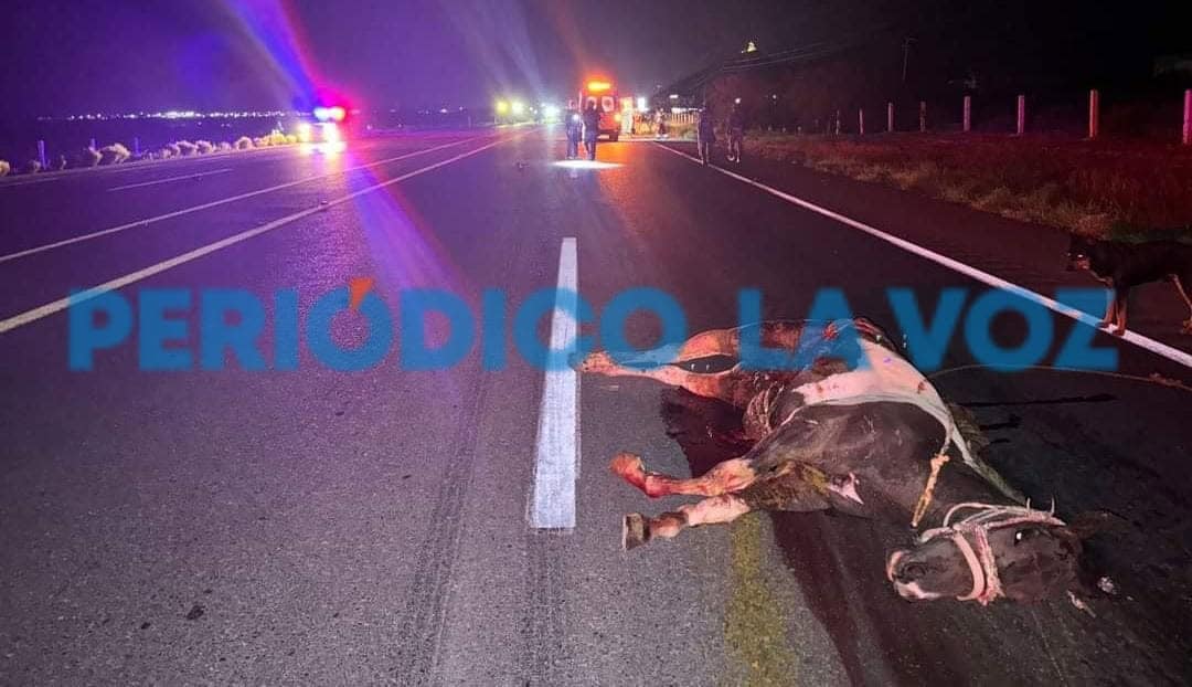 Embiste ambulancia a caballo en Ciénegas