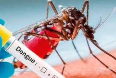 Confirma SS 103 casos de dengue en Coahuila