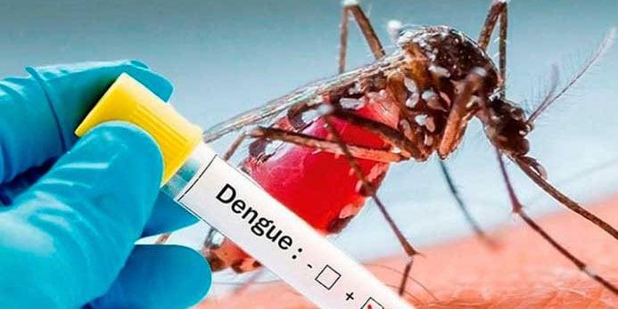 Confirma SS 103 casos de dengue en Coahuila