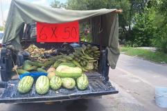 Inicia venta calabacita, melón, elote y sandia