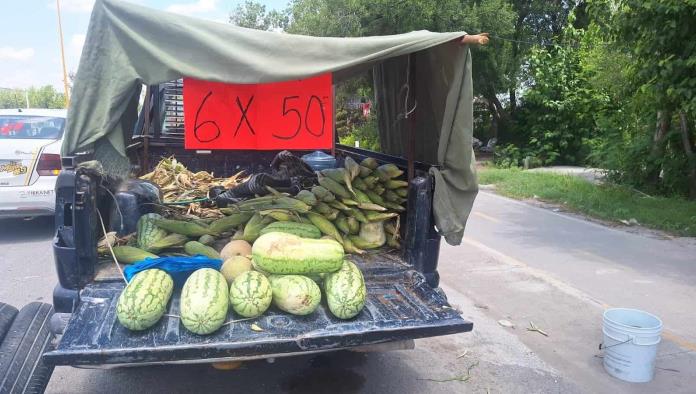 Inicia venta calabacita, melón, elote y sandia