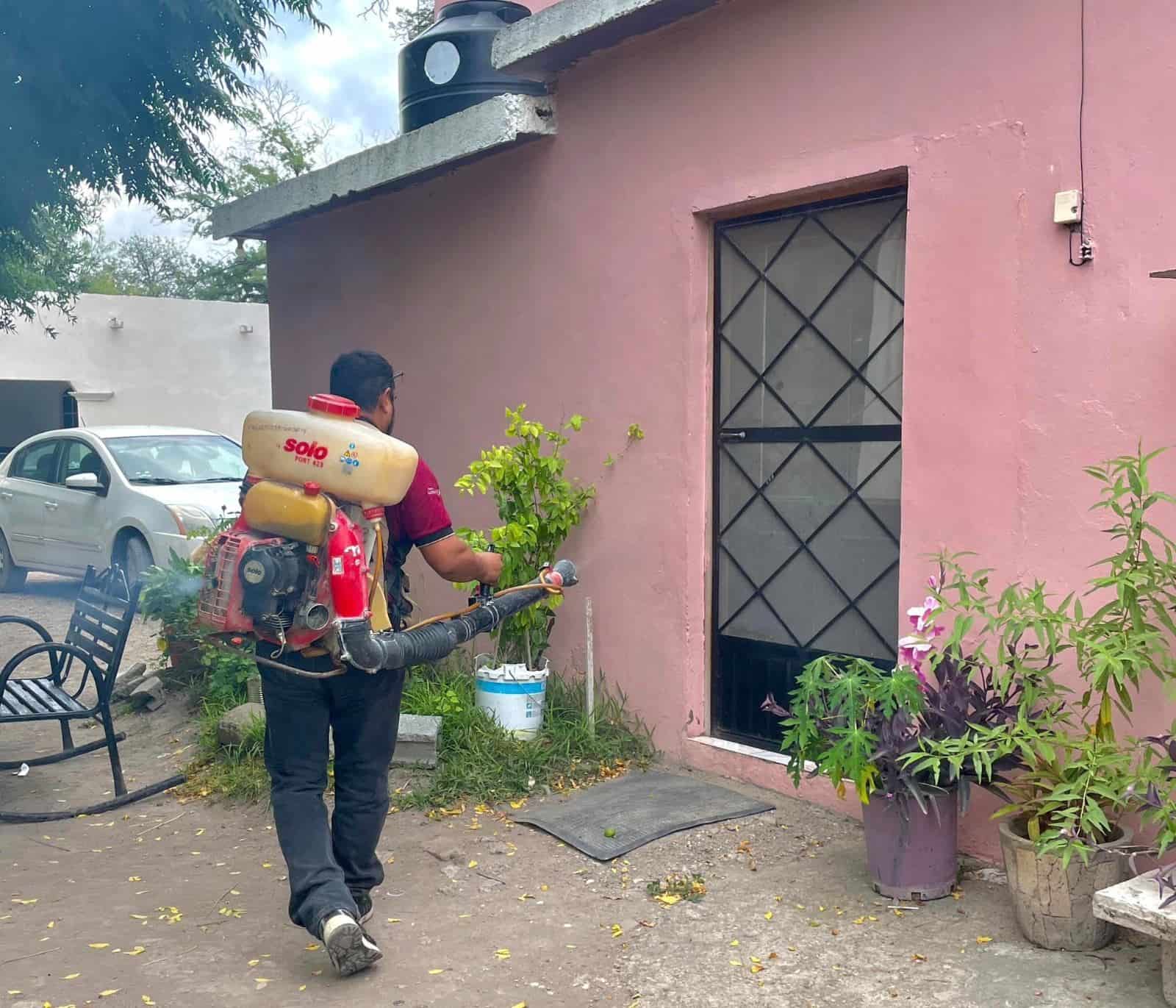 Continúa la fumigación en Allende 