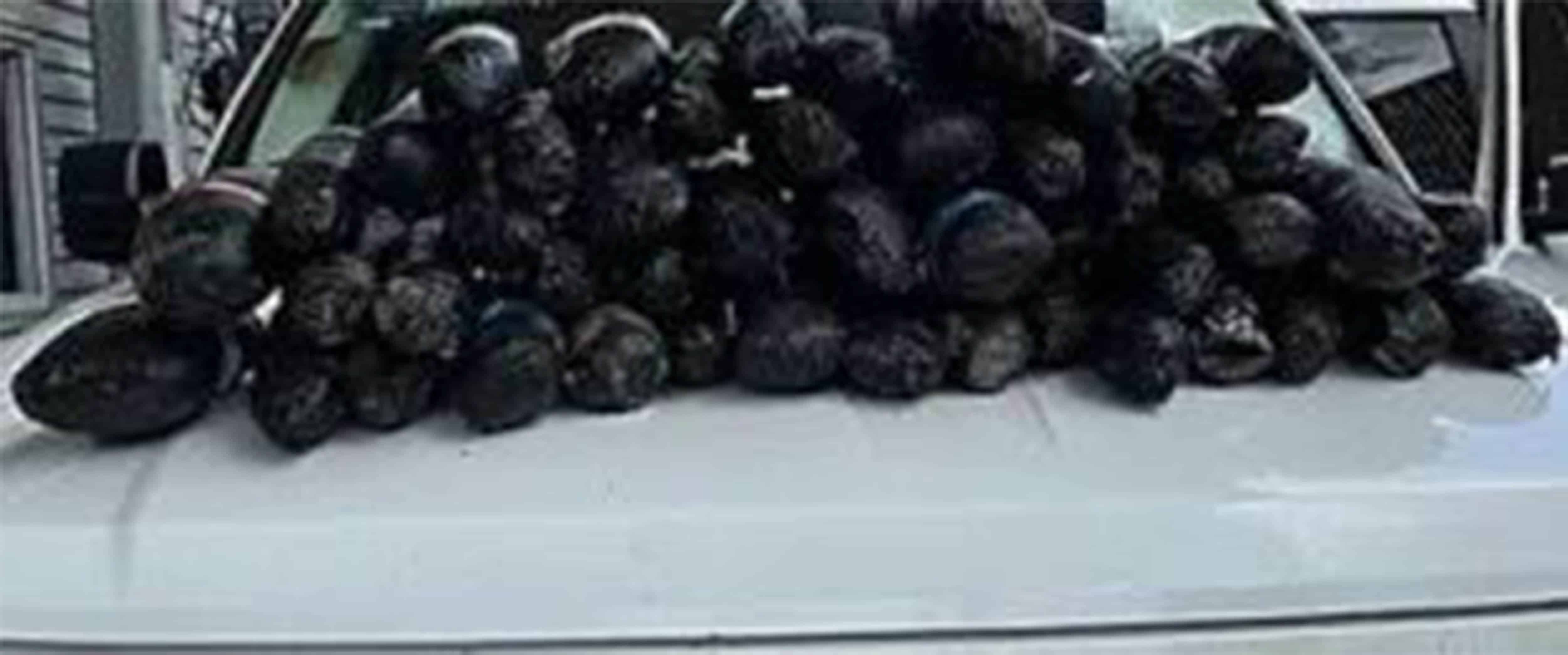 Incautan Drogas por $553,000 USD en Puente Internacional Dos