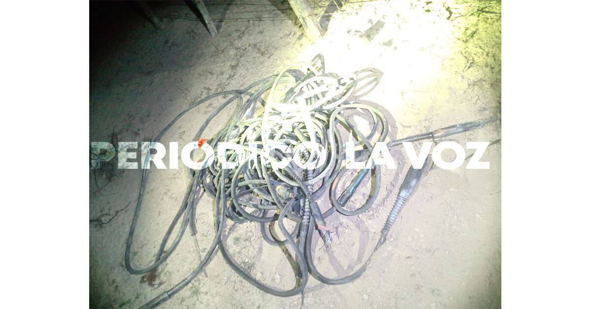 Dejan ‘ratas’ daños en  bodega de Freightcar