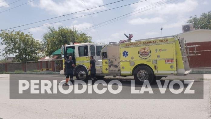 Abuelita Avista una Víbora Adentro de su Casa