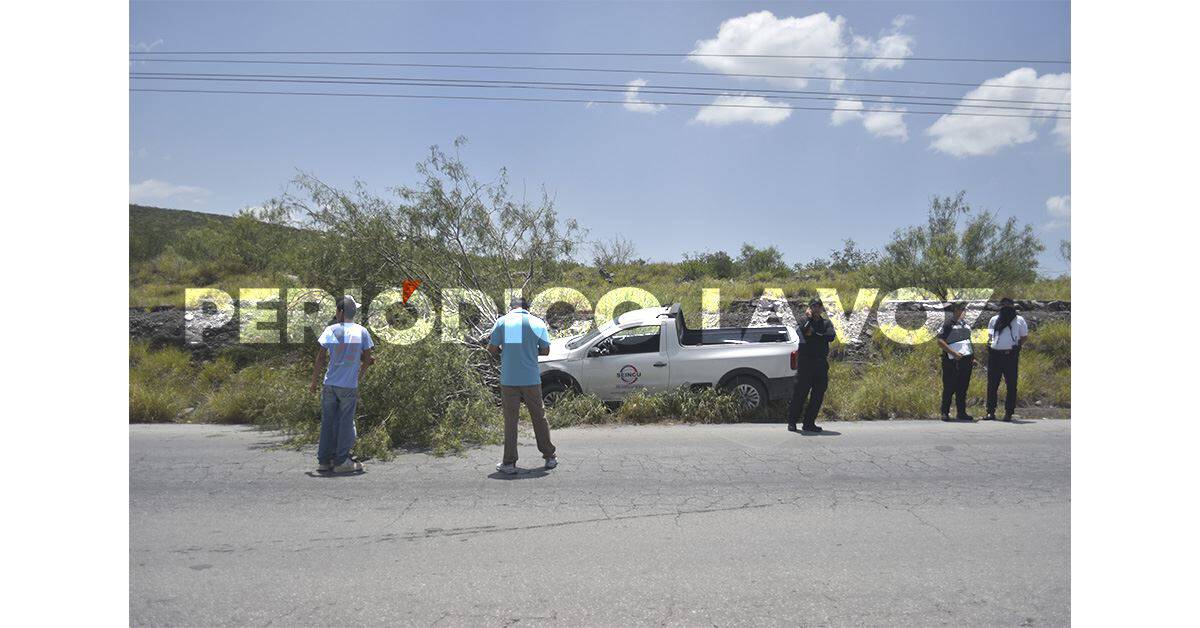 Se estampa con árbol por culpa de malestar