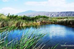 Sobreexplotación de agua acabaría con humedales