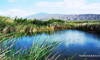 Sobreexplotación de agua acabaría con humedales