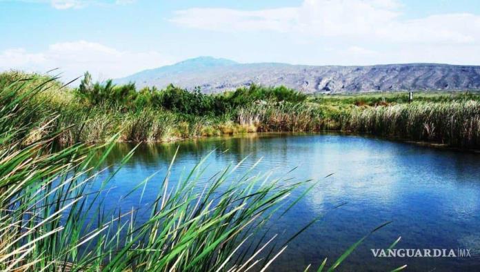 Sobreexplotación de agua acabaría con humedales