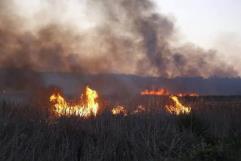 Disminución de Accidentes y Aumento de Incendios durante Vacaciones