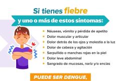 Emiten alertas y recomendaciones ante aumento de casos de dengue en la región