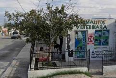 Denuncia en redes a clínica veterinaria