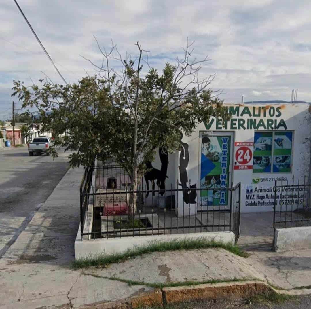 Denuncia en redes a clínica veterinaria
